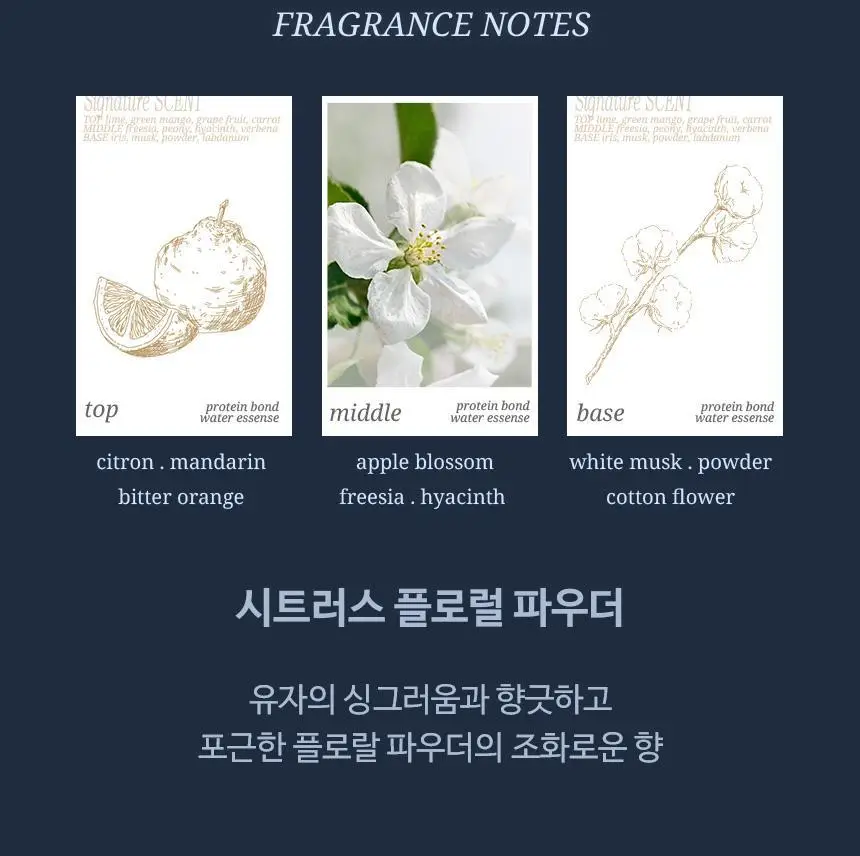 [포켓몬 에디션][손상모 케어] 헤어플러스 단백질 본드 워터에센스 200ml+50ml 기획 (헤어미스트) 상세페이지 29
